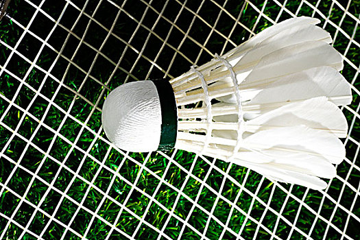 的哲学理念 的哲学理念