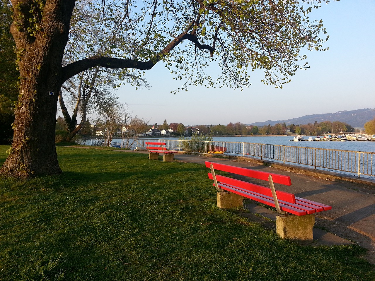 的传奇之路 的传奇之路