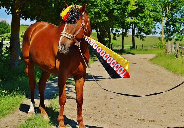 的风格和坚 的风格和坚