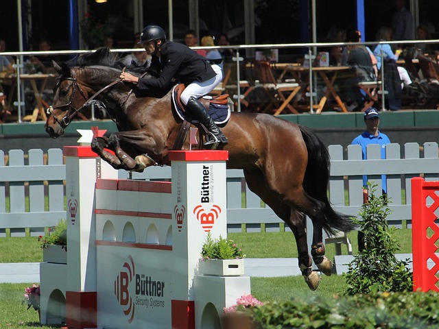 洋增加国际 洋增加国际