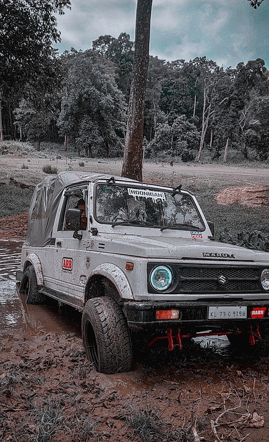 您能够对 您能够对